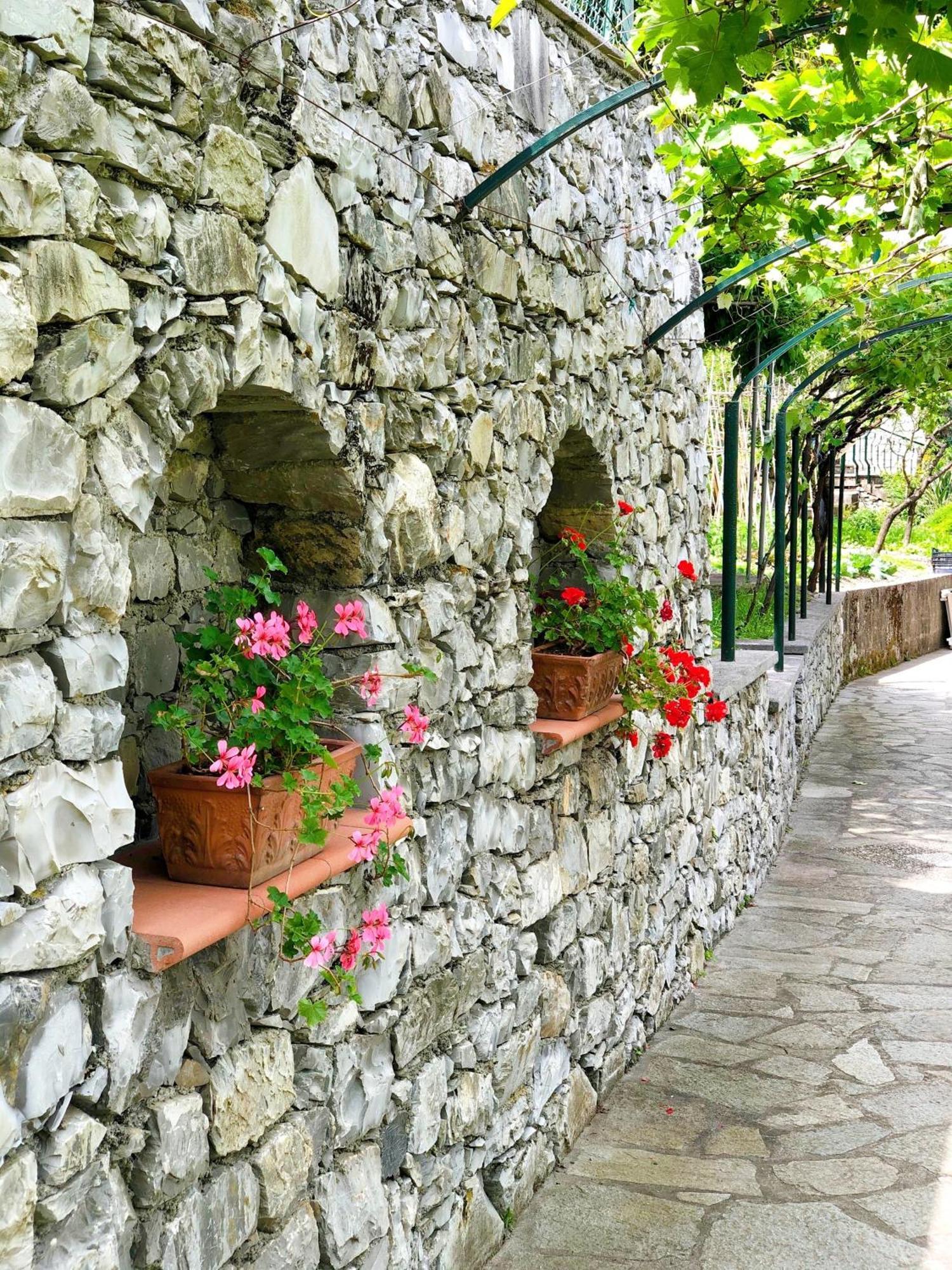 Hotel Villa Edera & La Torretta Moneglia Exteriör bild